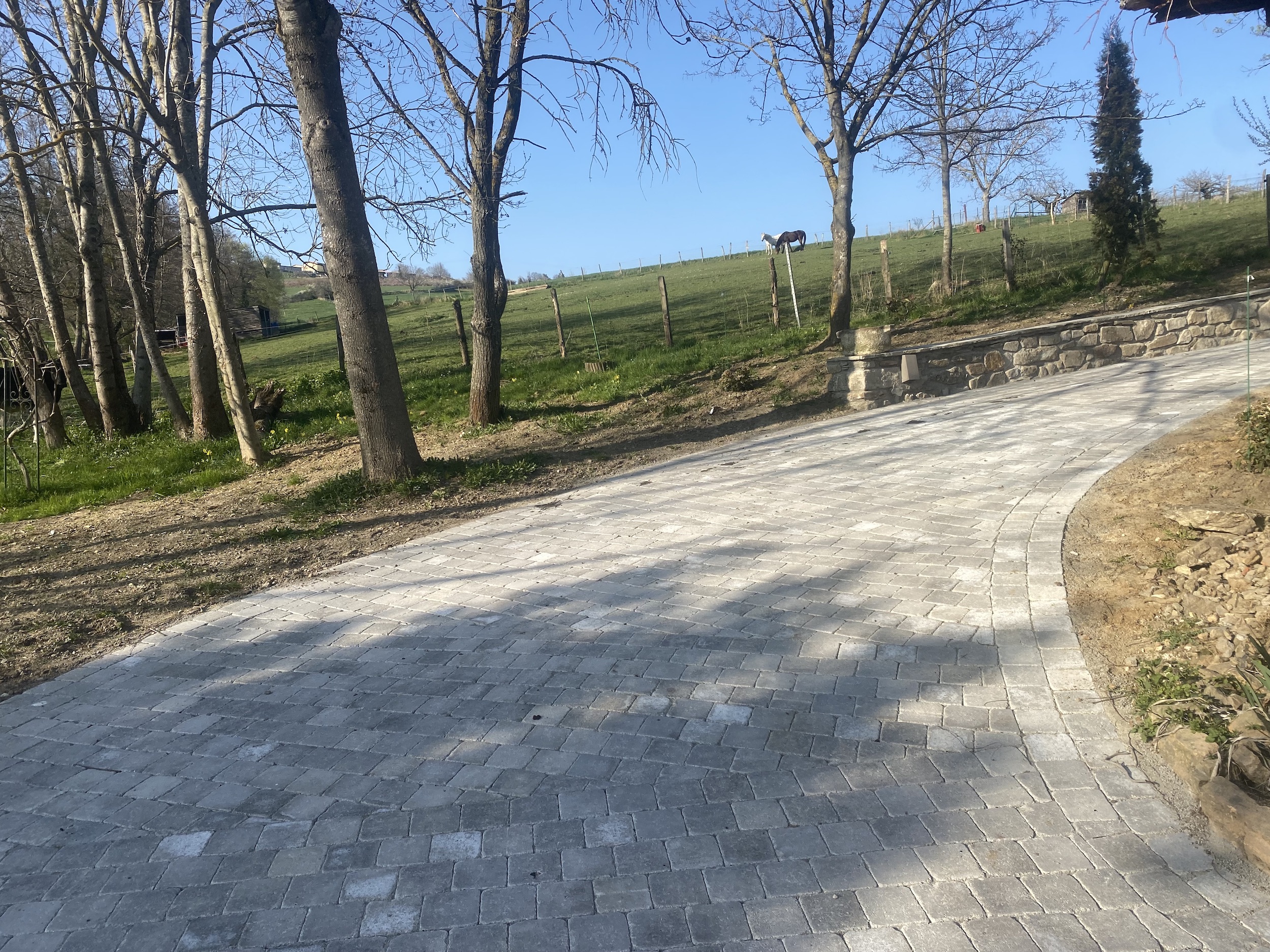 aménagement exterieur allée et bordures à Lyon